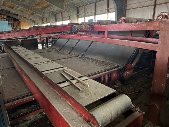 Линия лесопиления высокой производительности WRAVOR (Словения)