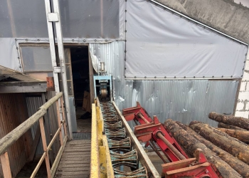 Линия лесопиления высокой производительности WRAVOR (Словения)