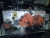 Продам Пресс-ножницы Sunrise IW-45М