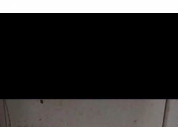 Фрезерный станок ВМ131ВФ1