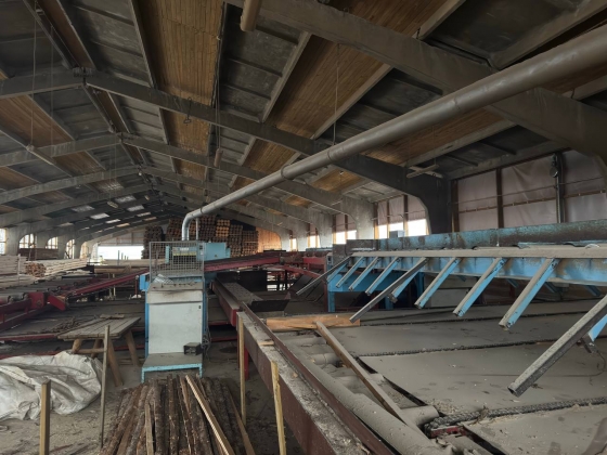 Линия лесопиления высокой производительности WRAVOR (Словения)