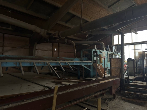 Линия лесопиления высокой производительности WRAVOR (Словения)