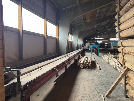 Линия лесопиления высокой производительности WRAVOR (Словения)