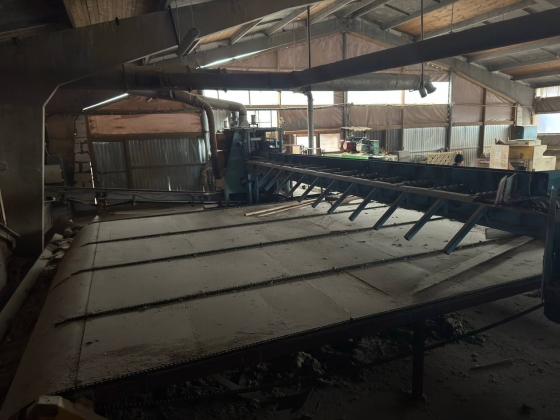 Линия лесопиления высокой производительности WRAVOR (Словения)