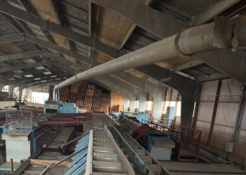 Линия лесопиления высокой производительности WRAVOR (Словения)